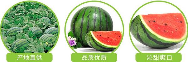 1760177477.jpg tupian_xigua2.jpg